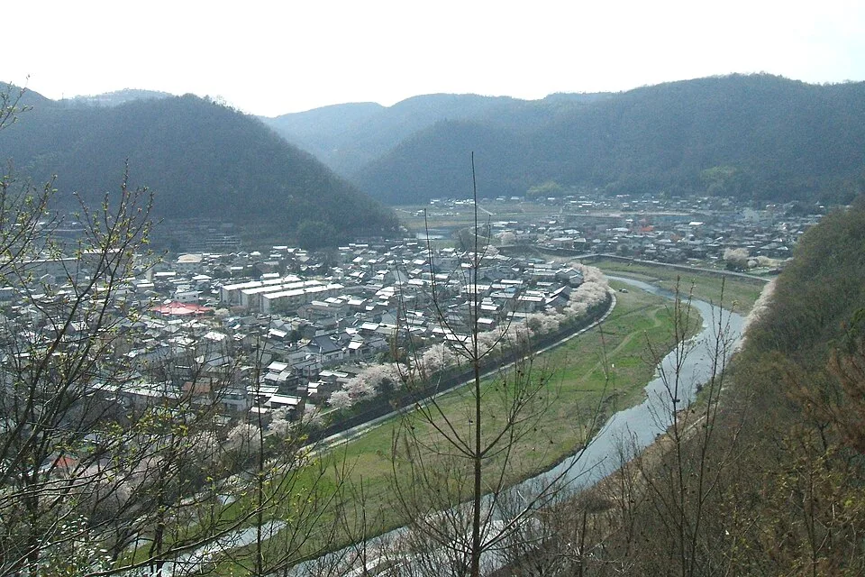 井原堤の桜並木。2010年4月6日撮影で、現在の開花状況ではありません