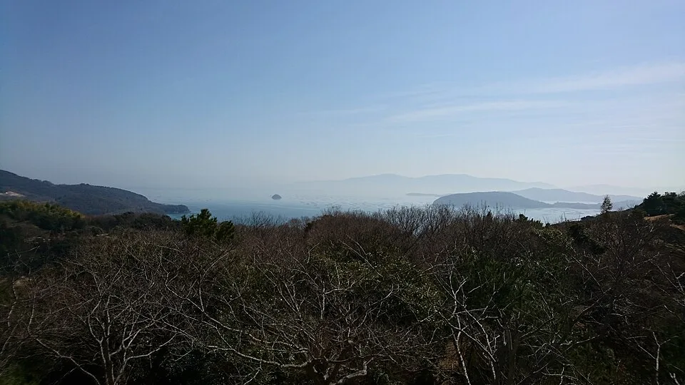 冬の木々の向こうに瀬戸内海と島々が広がる、一本松展望園からの眺め。